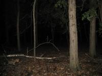 Chicago Ghost Hunters Group investigates Robinson Woods (222).JPG